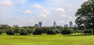 view of raleigh skyline from dorthea dix park