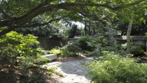 JC Arboretum in Raleigh North Carolina